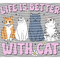 Cartoons and other-CO 1899